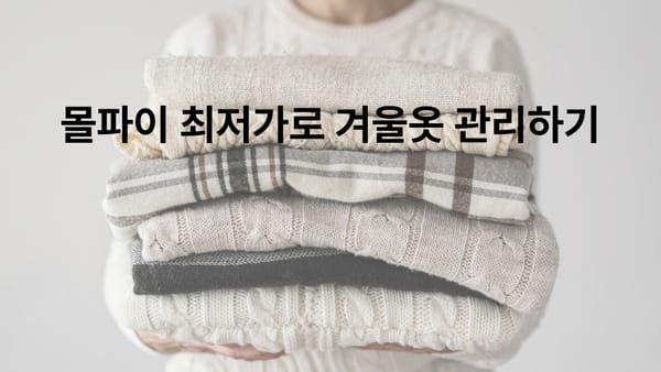 겨울옷 잘 관리하고 계시나요? 지금 바로 몰파이에서 겨울옷 관리용품을 최저가로 만나보세요!